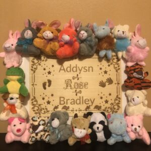 Custom Picture Plush Frames